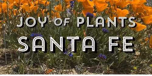 Plant Swap at the Library