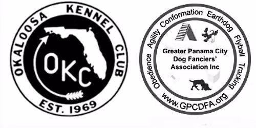 CAT & FAST CAT - Tallahassee, FL