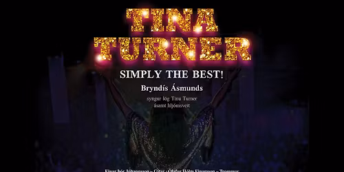 Tina Turner Hei\u00f0urst\u00f3nleikar