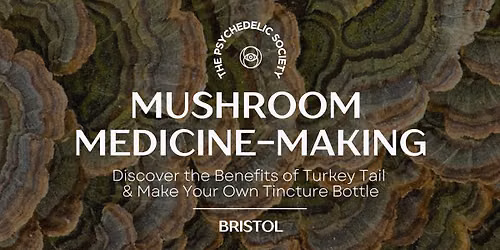 Mushroom Medicine Making: Discover the Benefits of Turkey Tail & Make Your Own Medicinal Tincture