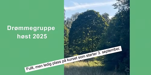 Dr\u00f8mmegruppe etter Montegue Ullmanns metode