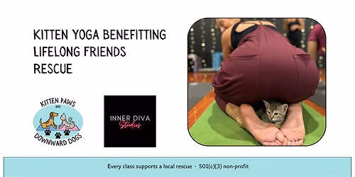 Cat Yoga \u2014 Benefitting Lifelong Friends Pet Adoptions