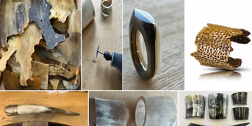 Introduction to Horn in Contemporary Jewellery
