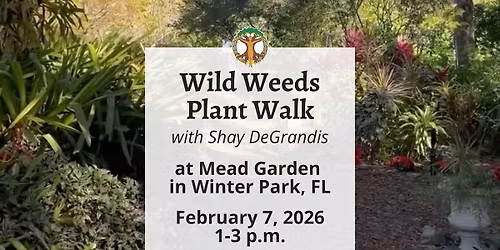 Wild Weeds Plant Walk at Mead Garden with Shay - February 7, 2026