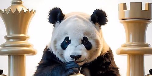 Panda Pawn Chess Club