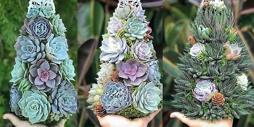 Holiday Succulent Tree Workshop