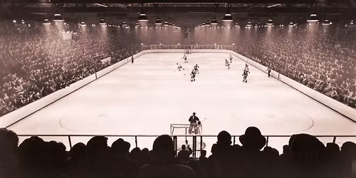 Parking Cornell Big Red at RPI Engineers Mens Hockey