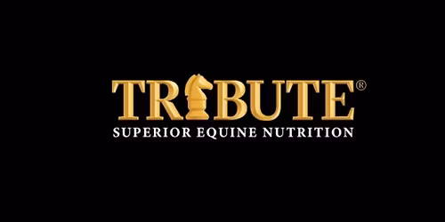 Tribute Barn Party!!