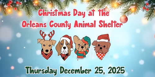 Christmas Day at the Orleans County Animal Shelter 2025