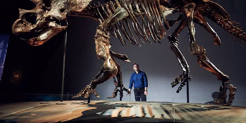 Triceratops: A Life at the Edge of Extinction