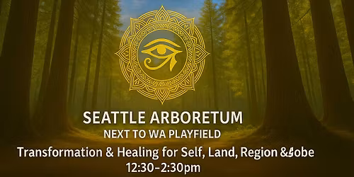 Group Light Activation- Seattle Arboretum