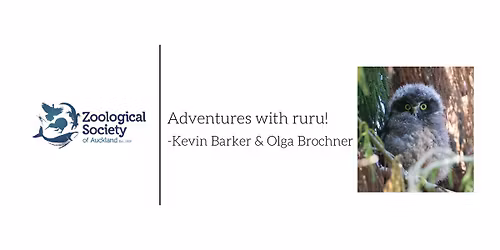 Adventures with ruru!