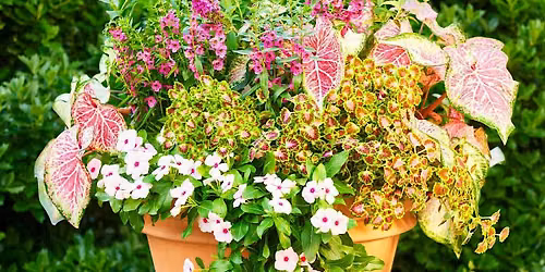 Summer Planter Workshop