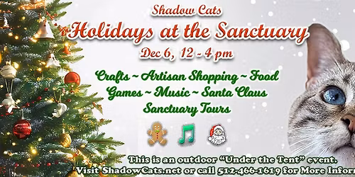 Shadow Cats Holidays at the Sanctuary