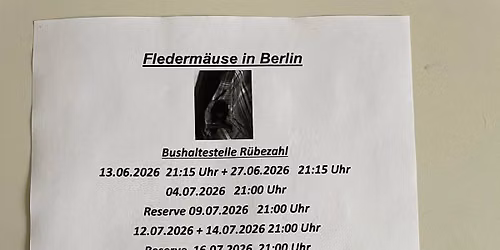 Flederm\u00e4use in Lichtenberg BAT Night