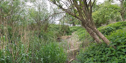 Moeraske : Gestion du site naturel