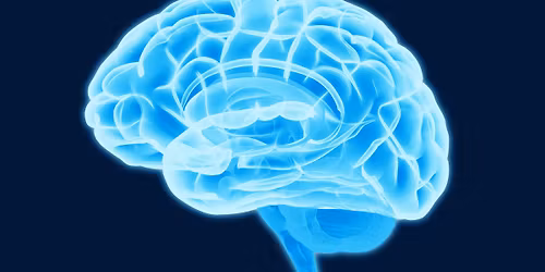 LMH Health Therapy Services Neuro Symposium