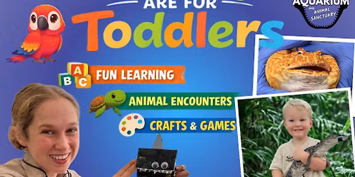 Tuesdays Are for Toddlers with Miss Paige! \ud83c\udf89