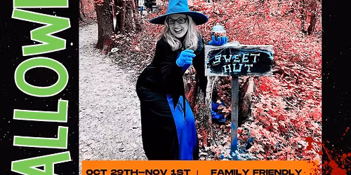 The Wicked Witch\u2019s Wood | Halloween at Johnsons