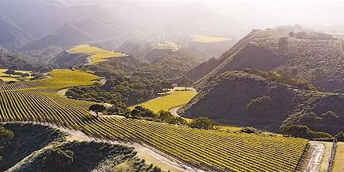 Wineluv Presents: The Wines of the Santa Lucia Highlands