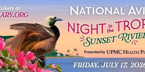 Night in the Tropics: Sunset Riviera 