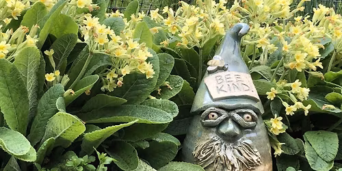 27th Annual Butternut Creek Festival