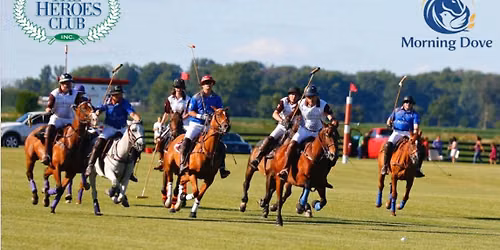 Polo at Sunset