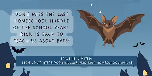 Homeschool Huddle: Bats!