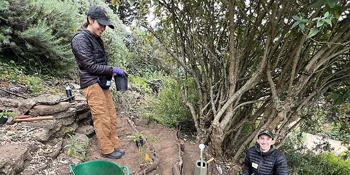 How to Cope with a Slope! Tips for Gardening on Hillsides