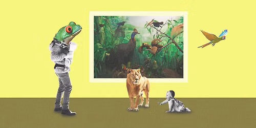 Babyomvisning: I dyrenes verden