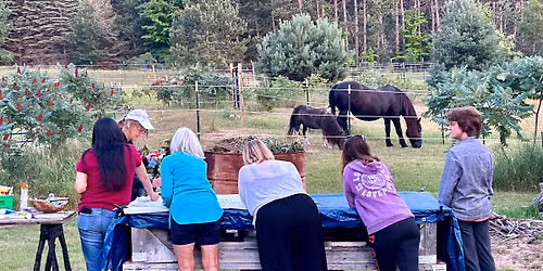 Evening Meditation at the Farm - Community event
