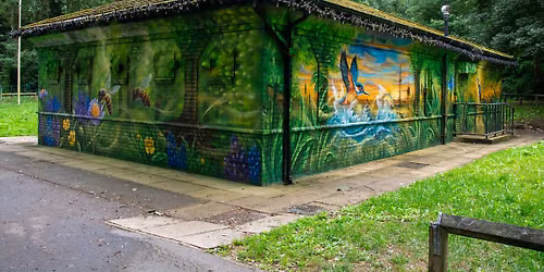 Connect with nature at Clayton Vale!
