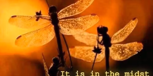 Grief and loss support group