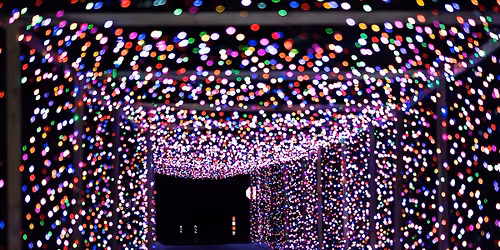 Holiday Walking Night: Capture the Magic