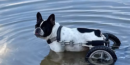 1st Annual Silent Auction