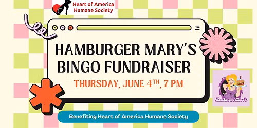 Not-Your-Average Bingo Night for HAHS at Hamburger Mary\u2019s