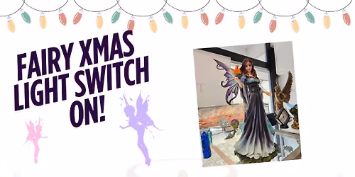 Fairy Xmas Light Switch On!