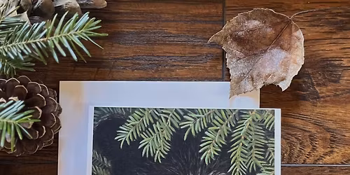 Maine Black Bears vs. Brown Bears