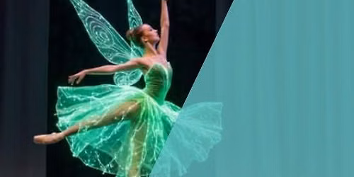 Ballet of Lights 