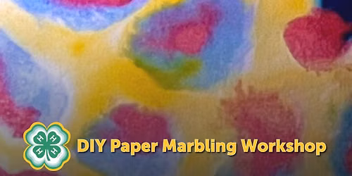 DIY Paper Marbling Workshop