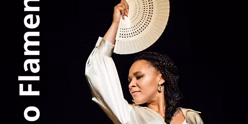 Danse \/ Musique - Duo FLAMENCO