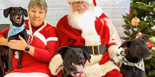 Holiday Photos with Santa!