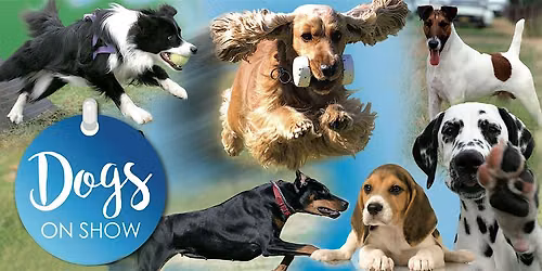 Dogs on Show 2026
