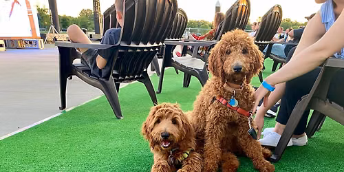 Pints for Paws with Pacifico