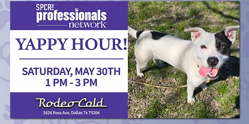 Professional Network: Yappy Hour