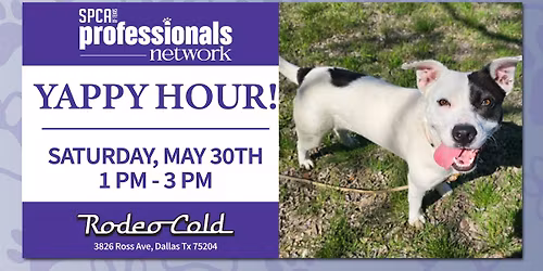 Professional Network: Yappy Hour