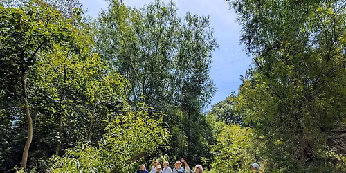 Lewes Tree Festival 2026 - guided walk around the Railway Land Nature Reserve