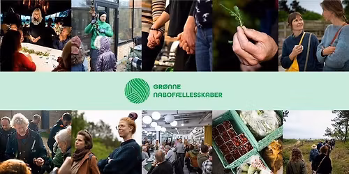 Gr\u00f8n s\u00f8ndag