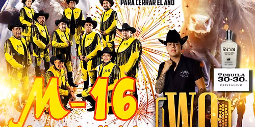 Gran baile posada \ud83e\ude85