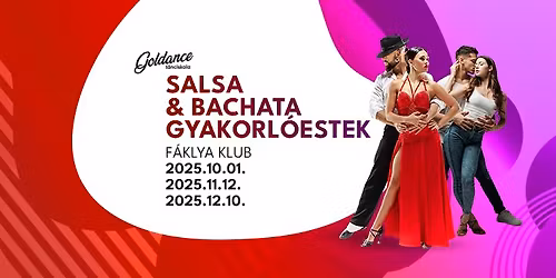 Salsa & Bachata gyakorl\u00f3est a F\u00e1klya Klubban, 2\ufe0f\u20e3 teremmel (25.12.10.) | Goldance T\u00e1nciskola